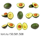 Avocado on white background. Стоковое фото, агентство Ingram Publishing / Фотобанк Лори