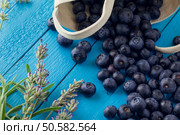 Close Up Of Organic Blueberries In Cloth Bag. Concept For Healthy Eating And Nutrition. Bluberries. Стоковое фото, агентство Ingram Publishing / Фотобанк Лори