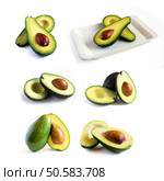 Avocado set. Стоковое фото, агентство Ingram Publishing / Фотобанк Лори