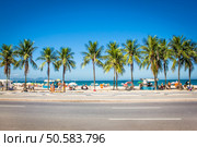 Copacabana beach  palms in Rio de Janeiro, Brazil. Стоковое фото, агентство Ingram Publishing / Фотобанк Лори