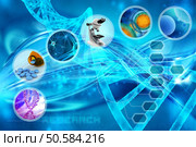 medicine and cells in an abstract scientific background. medical research. Стоковое фото, агентство Ingram Publishing / Фотобанк Лори