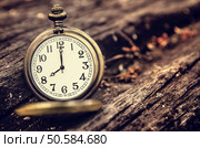 vintage pocket watch on grunge wood log. Стоковое фото, агентство Ingram Publishing / Фотобанк Лори