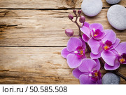 Pink orchid with buds. Greeting card. Стоковое фото, агентство Ingram Publishing / Фотобанк Лори