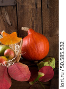 pumpkin apfel basket. Стоковое фото, агентство Ingram Publishing / Фотобанк Лори