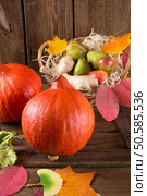 	pumpkin apfel basket. Стоковое фото, агентство Ingram Publishing / Фотобанк Лори