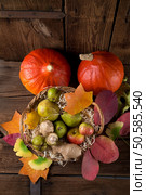 pumpkin apfel basket. Стоковое фото, агентство Ingram Publishing / Фотобанк Лори