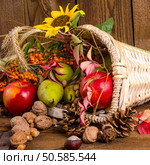 Cornucopia. Стоковое фото, агентство Ingram Publishing / Фотобанк Лори