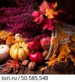 Cornucopia. Стоковое фото, агентство Ingram Publishing / Фотобанк Лори