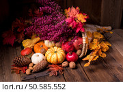 Cornucopia. Стоковое фото, агентство Ingram Publishing / Фотобанк Лори