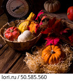 Cornucopia. Стоковое фото, агентство Ingram Publishing / Фотобанк Лори