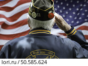 Veteran’s Saluting  in Front of US Flag. Стоковое фото, агентство Ingram Publishing / Фотобанк Лори