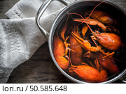 Pot with boiled crayfish on the wooden table. Стоковое фото, агентство Ingram Publishing / Фотобанк Лори