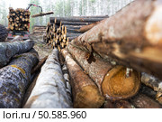stack of tree trunks, with truck loading timber in background. Стоковое фото, агентство Ingram Publishing / Фотобанк Лори
