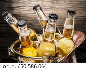 Cold bottles of beer in the brazen bucket on the wooden table. Стоковое фото, агентство Ingram Publishing / Фотобанк Лори