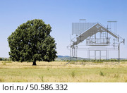 building plan on nature background with old oak tree. Стоковое фото, агентство Ingram Publishing / Фотобанк Лори