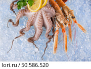 Fresh seafood on crushed ice, close-up.. Fresh seafood on crushed ice. Стоковое фото, агентство Ingram Publishing / Фотобанк Лори