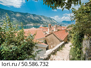 Red roofs of Kotor. Стоковое фото, агентство Ingram Publishing / Фотобанк Лори