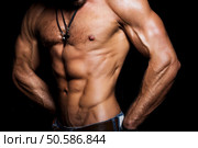 Muscular and sexy torso of young sport man. Attractive bodybuilder body with perfect abs, chest, bicep, triceps. Muscular and sexy torso of young sport man. Bodybuilder body with perfect abs, chest, bicep, triceps. Стоковое фото, агентство Ingram Publishing / Фотобанк Лори