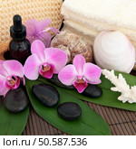 Aromatherapy treatment with spa stones, essential oil, pink orchid flowers, exfoliating scrub, towels and shells over bamboo background. Стоковое фото, агентство Ingram Publishing / Фотобанк Лори