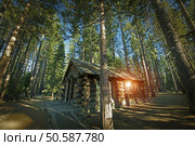 Aged Forest Log Cabin Somewhere in Sierra Nevada Mountains, United States. Стоковое фото, агентство Ingram Publishing / Фотобанк Лори