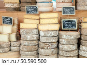 Farmer cheese on market counter. Стоковое фото, агентство Ingram Publishing / Фотобанк Лори