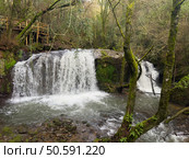 Twin waterfalls cascade powerfully into a pool below, surrounded by moss-covered trees and lush greenery near Cascata do Outeiro. A wooden walkway offers a glimpse of this scenic spot in Oliveira de Azemeis. Стоковое фото, агентство Ingram Publishing / Фотобанк Лори