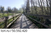 Wooden walkway through a lush riverside park, shadows stretching across the planks under a bright sky. Стоковое фото, агентство Ingram Publishing / Фотобанк Лори