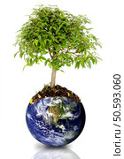 tree growing from the earth over a white background. Стоковое фото, агентство Ingram Publishing / Фотобанк Лори