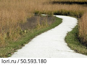 Prairie path. Стоковое фото, агентство Ingram Publishing / Фотобанк Лори