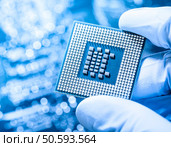 Technician holding chip. Стоковое фото, агентство Ingram Publishing / Фотобанк Лори
