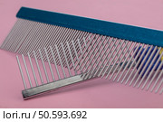 Tool for the groomer. Set of different combs for pet hair care on a white background. Стоковое фото, агентство Ingram Publishing / Фотобанк Лори