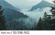 Moody and spooky cinematic forest pass by window. Clouds and fog on mountain cover forest valley. Majestic woods on autumn or winter day in highlands. Стоковое AI-видео, аниматор Sergey Grishin / Фотобанк Лори