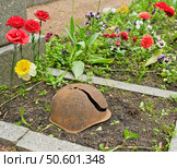 A Rusty WWII Helmet Among Flower. Silent Tribute to Fallen soviet Soldiers. Стоковое фото, фотограф Елена  Попкова / Фотобанк Лори