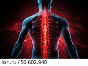 Spinal column showing vertebrae and intervertebral discs glowing on back of human body. Стоковое AI-изображение, AI-художник Иван Рябоконь / Фотобанк Лори