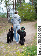 Three black poodles and their owner walking in the park on a sunny day. Стоковое фото, фотограф Светлана Акифьева / Фотобанк Лори