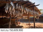Drying fish under a straw roof in an african village. Стоковое AI-изображение, AI-художник Иван Рябоконь / Фотобанк Лори