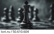 Intense Chess Match Showcasing a Black King Surrounded by Competing Pieces in a Dramatic Setting. Стоковое AI-видео, аниматор Юлия Гапеенко / Фотобанк Лори