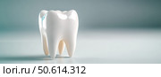 A single, radiant white tooth with a glass-like shine is highlighted against a light gray background. This image captures the beauty of dental health and the intricate details of perfect enamel. Стоковое AI-изображение, AI-художник Nart / Фотобанк Лори