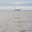 Грузовое судно плывёт по морю. Контейнеровоз на горизонте. Транспортная логистика и грузоперевозки по морю. Анадырский залив, Берингово море, Дальний Восток России. Стоковое фото, фотограф Андрей Степанов / Фотобанк Лори