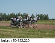 Сабантуй в г. Дюртюли Башкортостан Тройка лошадей. Редакционное фото, фотограф Василий Быстрицкий / Фотобанк Лори