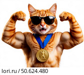Рыжий кот спортсмен с медалью и бицепсами. Стоковое AI-изображение, AI-художник Валерий Ячин / Фотобанк Лори