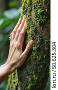 Cinematic close up of female fingers touch gently moss on tree bark. Tender and sensual connection to nature and environment. Conscious traveling and protection innocent forests, ecological problem. Стоковое AI-видео, аниматор Sergey Grishin / Фотобанк Лори