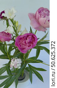 Vertical video of beautiful floral arrangement of seasonal fresh garden flowers peonies and carnations on kenzan in a low bowl in traditional ikebana style on white background. Floral design as hobby. Стоковое видео, видеограф Виктория Катьянова / Фотобанк Лори