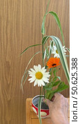 Time lapse accelerated vertical video of woman collects a flower arrangement of seasonal garden fresh marigold and daisy flowers on kenzan holder in cap on wooden background. Flower design as a hobby. Стоковое видео, видеограф Виктория Катьянова / Фотобанк Лори
