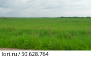View through side window of car auto in motion on road. Highway along green forest and trees in summer. Tourism and travel, journey trip concept. Beautiful nature and landscape. Car speeding on road. Стоковое видео, видеограф Марина Демидюк / Фотобанк Лори