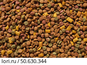 Pet Food Texture. Lot of Dry Granules of Crunchy Dog or Cat Food. Rotating Background. Animal Feed Pile. Fodder. Meal for Cats, Dogs. Filling. Daylight. Advertising. Pet Shop, Delivery. Healthy Treat. Стоковое фото, фотограф Марина Демидюк / Фотобанк Лори
