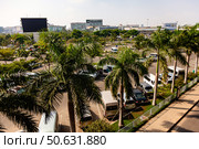 Palm Trees Overlook Parking Area in Ho Chi Minh City, Vietnam (2024 год). Редакционное фото, фотограф Aleksandr Golubev / Фотобанк Лори