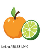 Fresh apple and lime halves, colorful illustration, isolated on a white background, copy space. Стоковое AI-изображение, AI-художник Елена Скрипкина / Фотобанк Лори