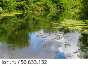 Речной пейзаж, листья кувшинок, отражения и тени на воде, деревья на берегу. Река Красивая Меча, Тульская область, Россия. Стоковое фото, фотограф Андрей Цыганков / Фотобанк Лори