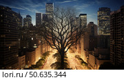 skyscrapers tree lungs ai generated. Стоковое AI-изображение, AI-художник Vectorwin / Фотобанк Лори